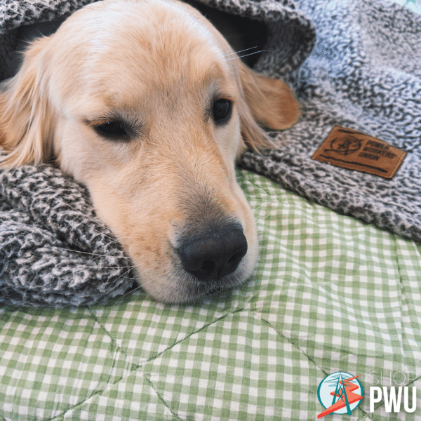 PWU BLANKET - Image 4